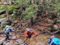 2021 가을 동부산행  3편 (White Mountain NH / Acadia  National Park. ME )