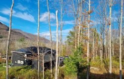 9/10~14/2025. Autumn in New York 5편