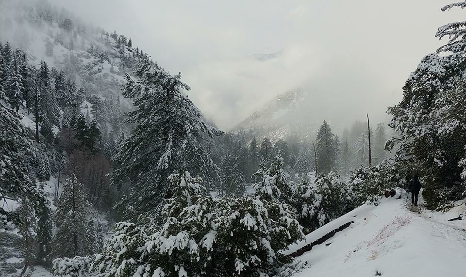 2019 0112 Bighorn Peak(8,450ft) via Icehouse Canyon