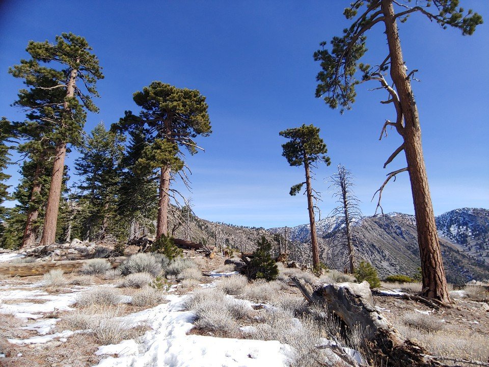 2019 0126 Mt.Islip (8,250ft) via Crystal Lake ( 3,000 ft gain, 9.6 mi round trip)