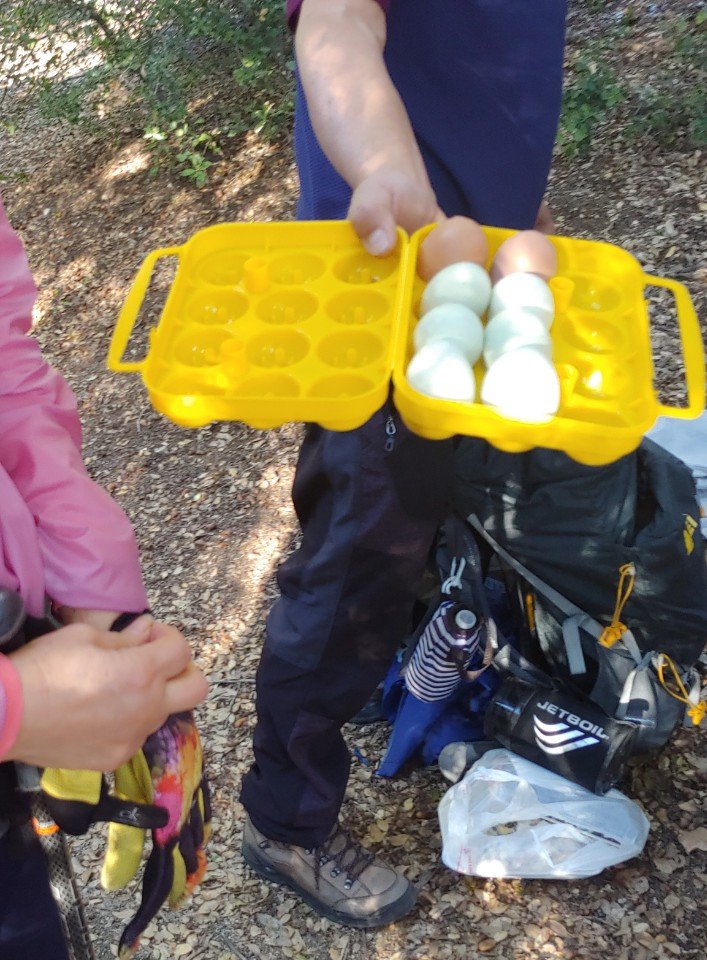 3/16/2019  San Gabriel Peak to Valley Forge Canyon via Red Box (10mi)