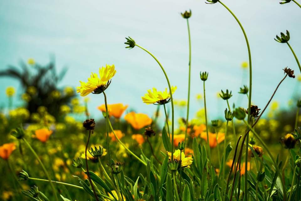 4/5~7/2019  물처럼 구름처럼 꽃길 따라 흐르고  머물기  2편