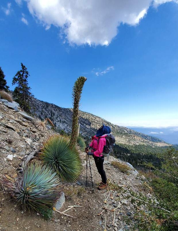 6/2/19  Mt. Islip (8,250 ft)  via Crystal Lake