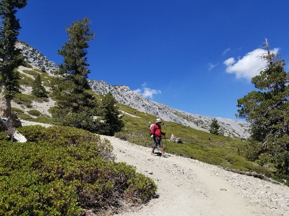 9/7/2019   Mt. Baldy  (10,064 ft) via Register Ridge Trail (7.3mi)