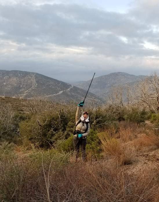 12/14/2019. Mt. Pacifico (7,214 ft) via Mill Creek Summit ( 2,175ft gain, 13.7mi round trip)