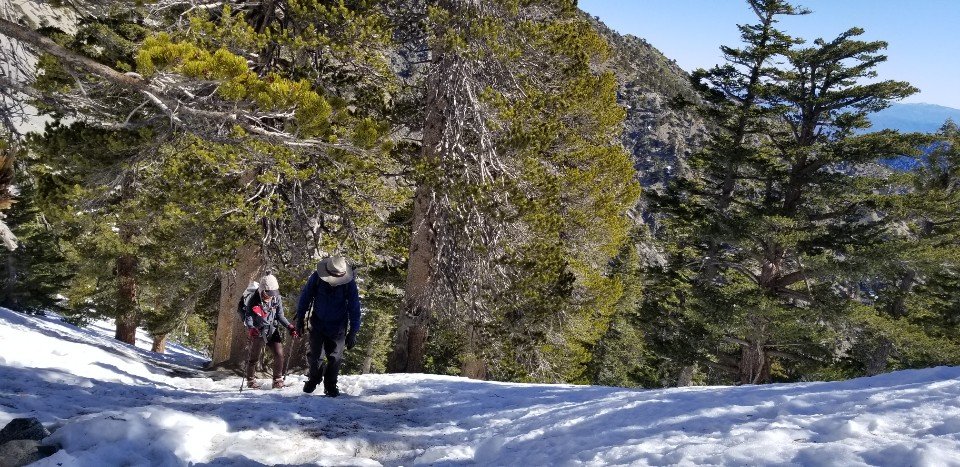 2/3/2020  Mt. Baldy ( 10,064 ft, 3,900 gain, 8.4 mi)
