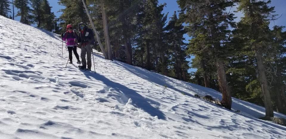 2/29/20  Bighorn Peak(8,450) via  Icehouse Canyon ( 3000 ft. 9.5 mi)