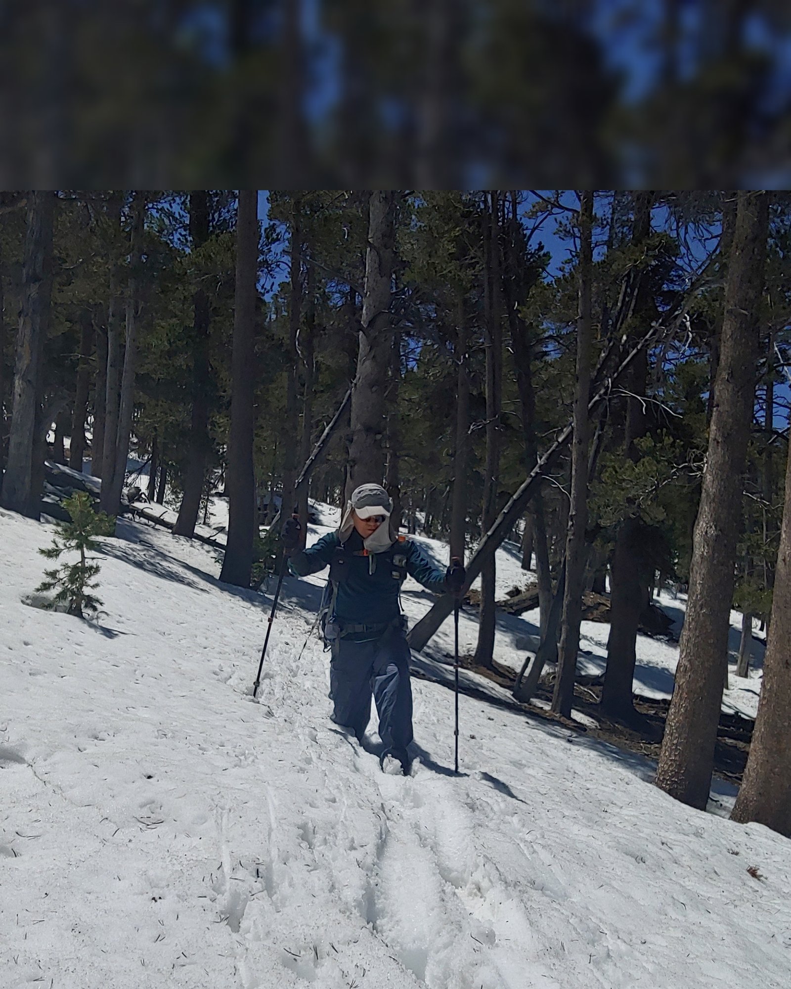 5/9/2020 Shield Peak Trail (10,699 ft, 4,242 ft gain, 13.5mi)