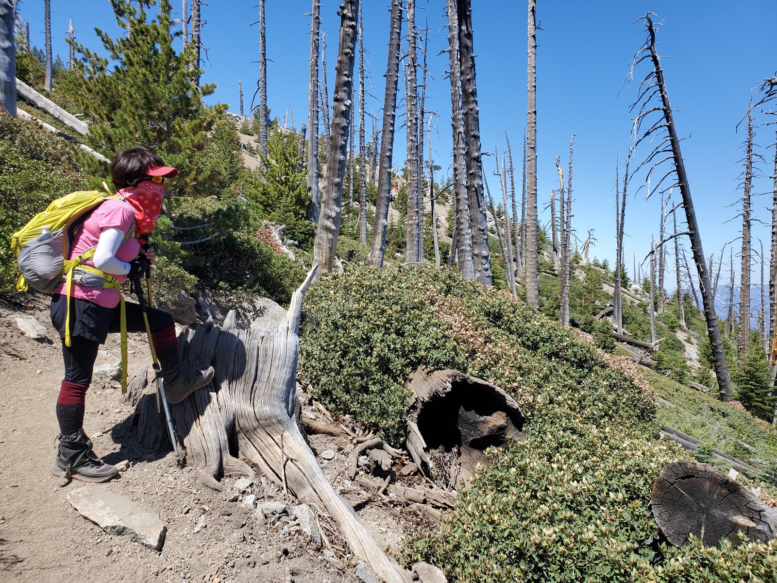 6/20/2020  Ontario Peak (8,694 ft) via Icehouse Canyon ( 3,868ft gain, 13.9 mi)