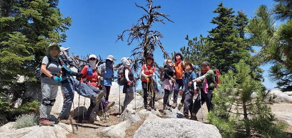 7/4/2020  Twin Peak (7,660 ft) via Tree Point ( 12.2 mi)