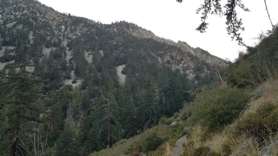 10/17/2020  Timber Mt. (8,303 ft) via  Middle Fork Trail  (11mi, 3,580 ft gain)