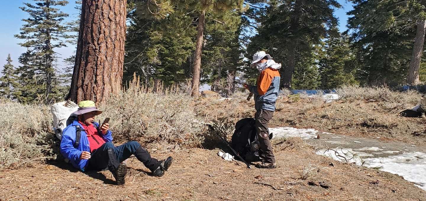 2/27/2021. Wright Mt. via Inspiration Point ( PCT,  13.4 mi,  1,601 ft up/ 666 ft dn )