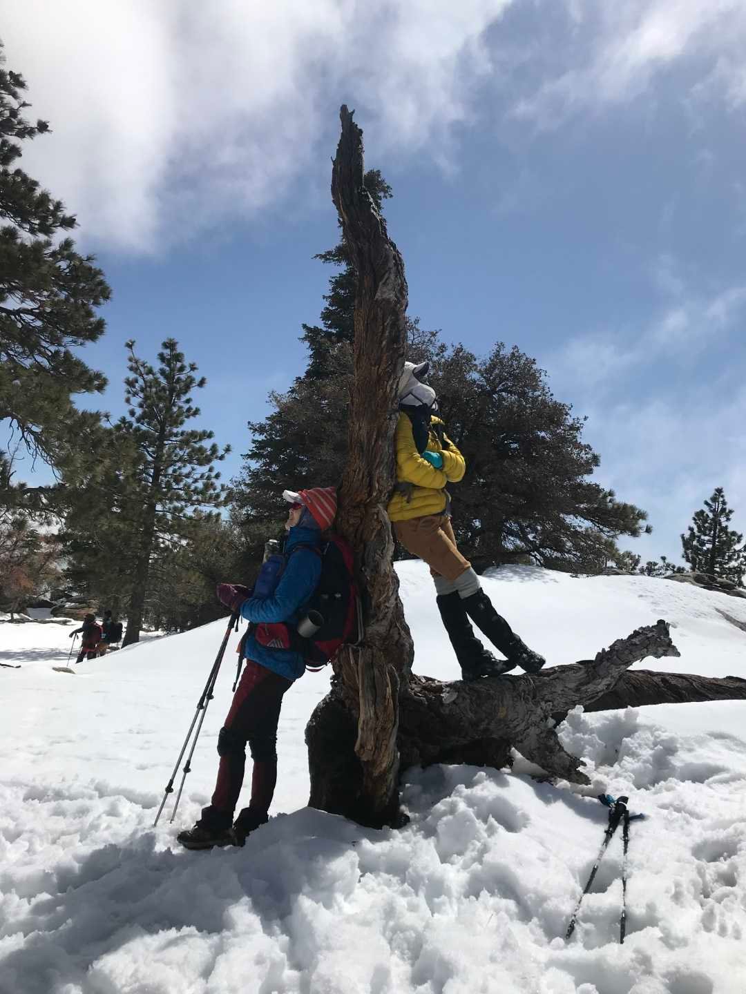 3/20/2021  Tahquitz Peak via South  Ridge Trail (7.8 mi round, 3,057 ft gain )