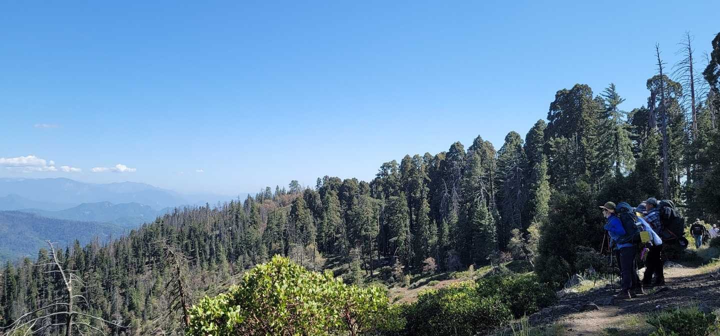 5/15~16/2021/  2진 / 1박2일 팀 / Hart Tree & Fallen Goliath Loop ( 10 mi,  2,066 ft gain)