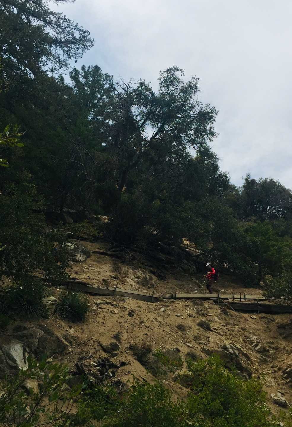 7/24/2021 Mount  Lowe  via Red Box ( 1,875 ft up / 700 ft dn,  7.9 mi )