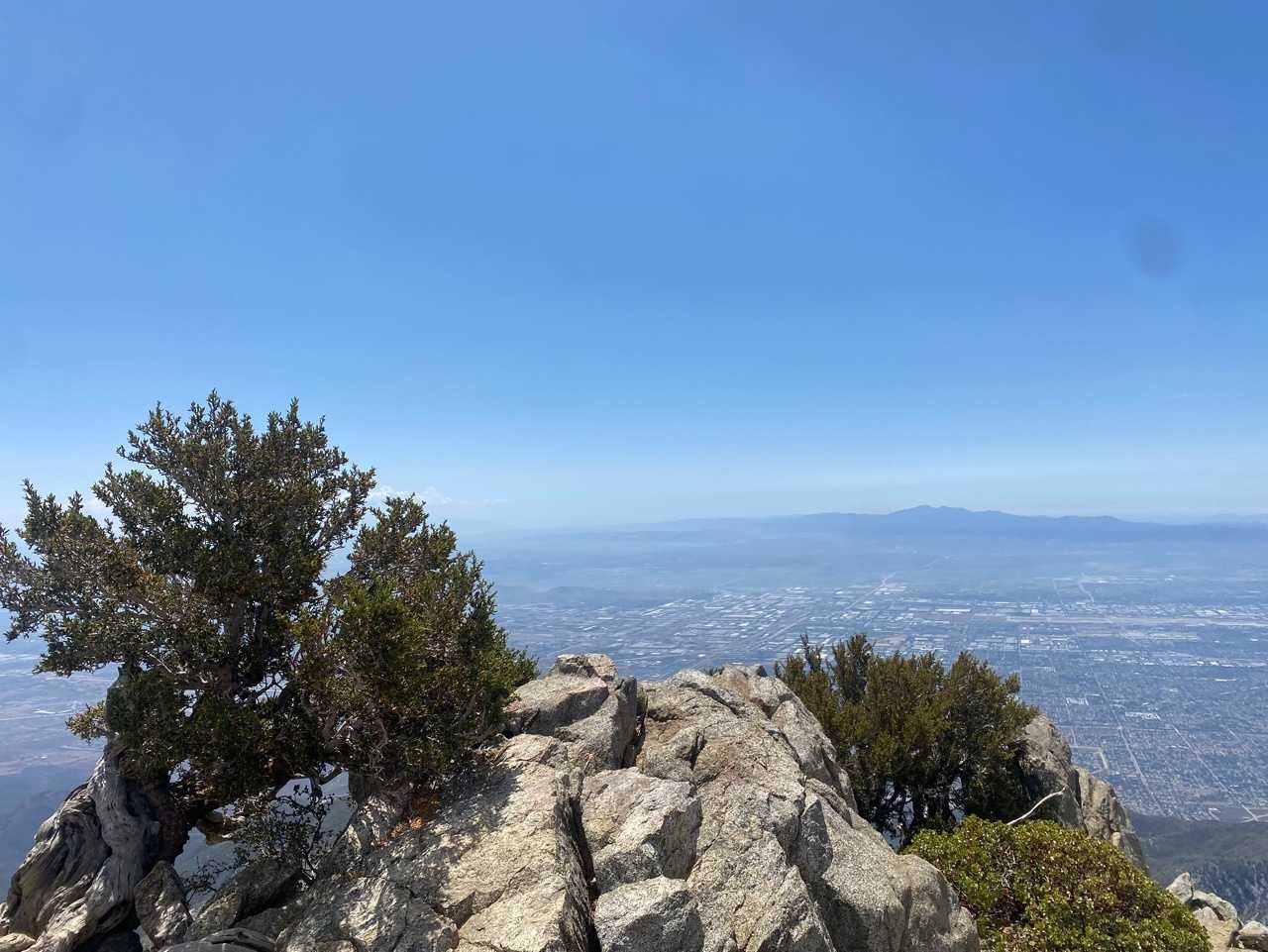 7/31/2021 Cucamonga Peak (8,860 ft)  via Iceouse Canyon ( 4,314 ft gain, 12.5 mi)