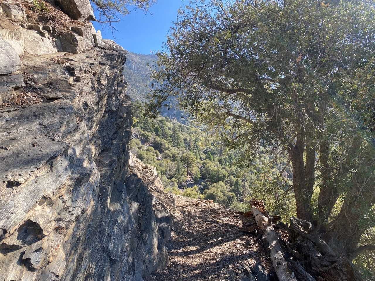 8/21/2021  Momyer Creek Trail to Dobbs Cavin  ( 12.9 mi,  3,123 ft gain )