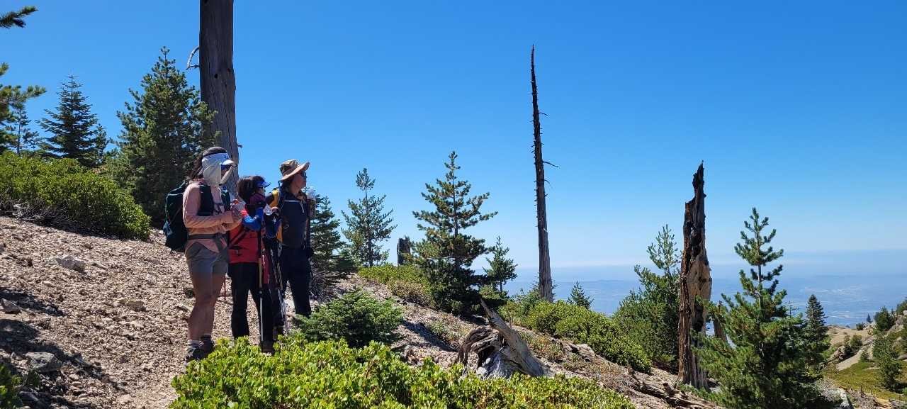 8/28/2021  Ontario  Peak  (8,696 ft) via Iceouse  Canyon  ( 3,884  ft gain,  12.4mi )