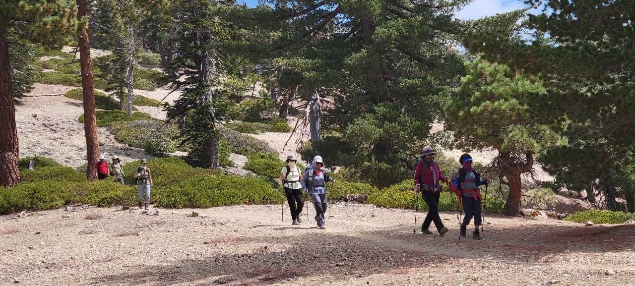 9/26/2021  Timber Mount  via Cedar  Glen  Camp  ( 9.8 mi, 3,336 ft gain) 및 정기총회