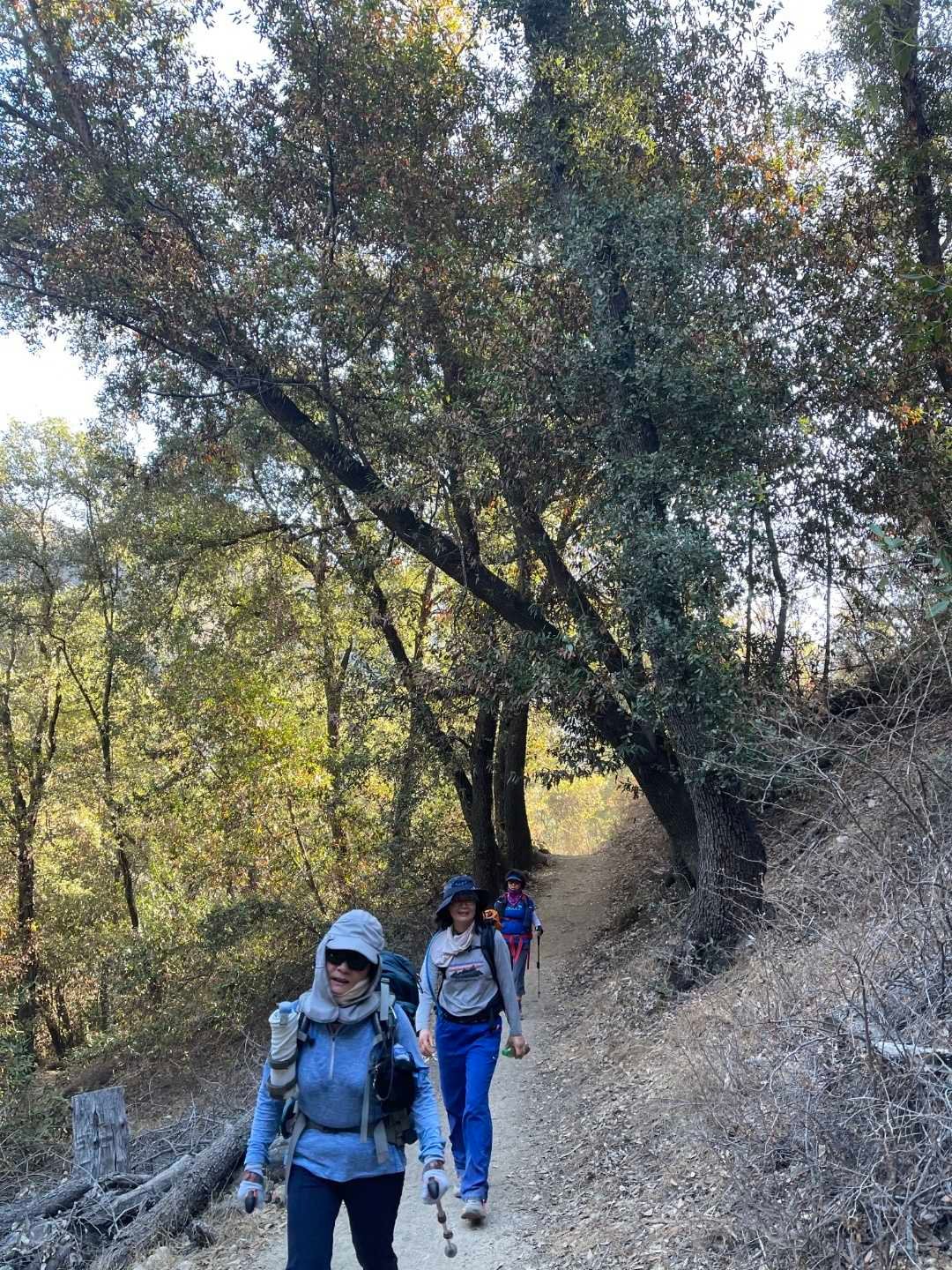 10/2/2021 Mt. Wilson  via Manzanita Ridge  ( 11 mi, 3,664 ft gain)