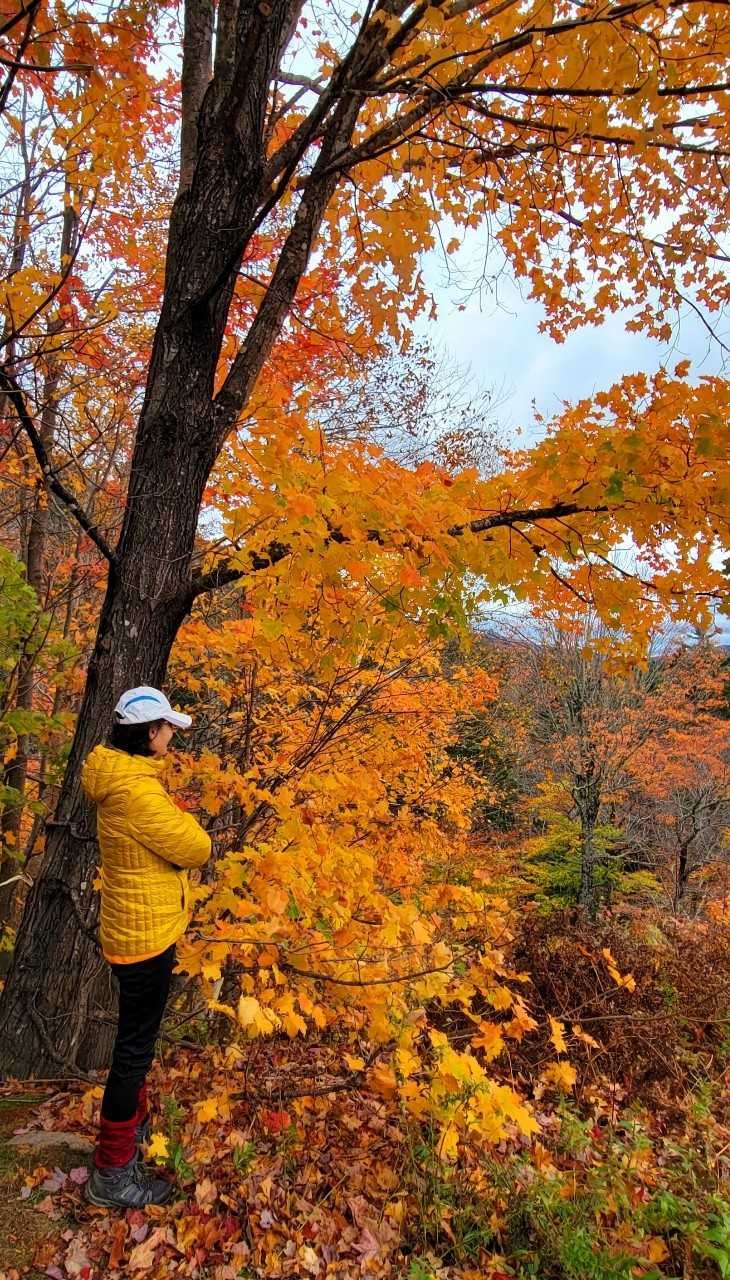 12/4/2021  한 해를 돌아보며.. (송년회 '사진 컨테스트' 출품작 )
